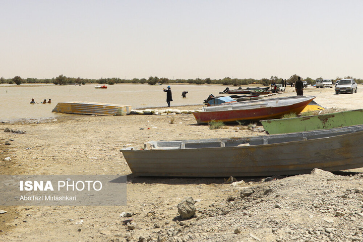 حالِ خوبِ «هامون»