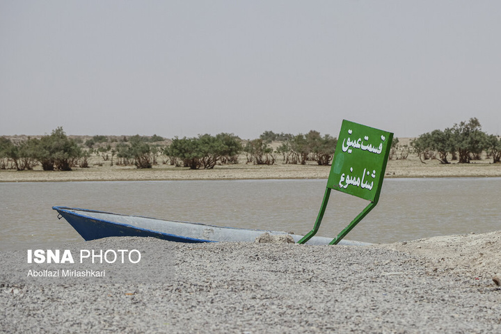 حالِ خوبِ «هامون»