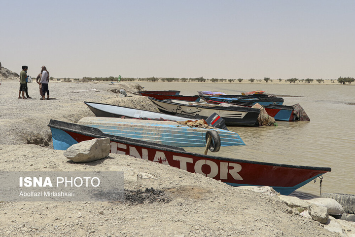 حالِ خوبِ «هامون»