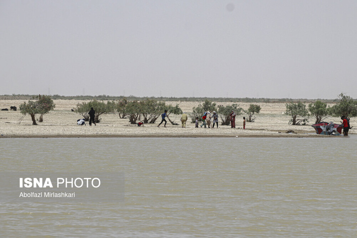 حالِ خوبِ «هامون»
