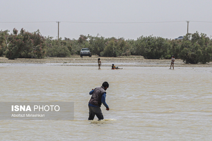 حالِ خوبِ «هامون»