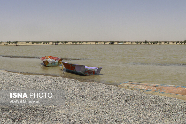 حالِ خوبِ «هامون»