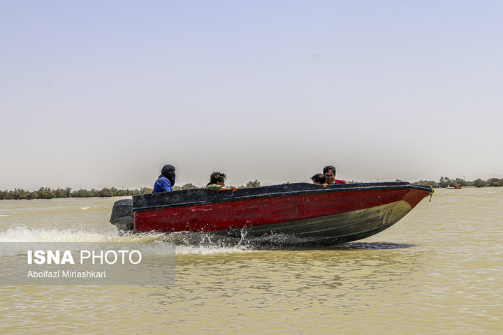 حالِ خوبِ «هامون»