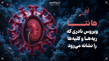 هانتا؛ ویروس نادری که ریه‌ها و کلیه‌ها را نشانه می‌رود