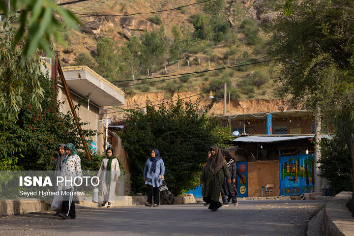 «پامنار» زیستگاه جغد ماهی خوار