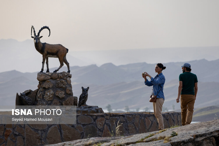 «پامنار» زیستگاه جغد ماهی خوار