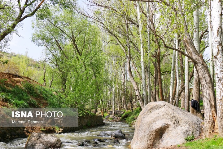طبیعت بهاری گنج نامه همدان