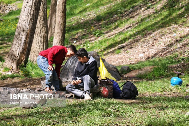 طبیعت بهاری گنج نامه همدان