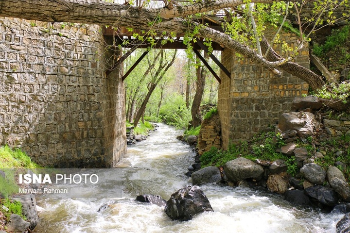 طبیعت بهاری گنج نامه همدان