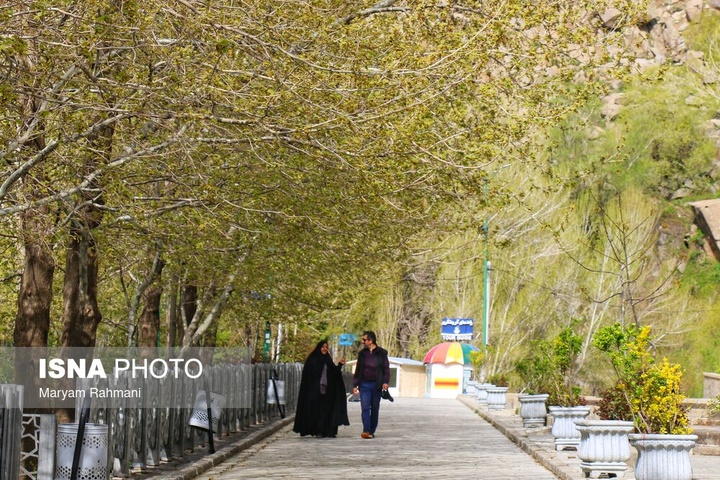 طبیعت بهاری گنج نامه همدان