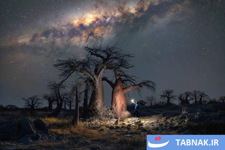شگفتی‌های آسمان شب در قاب عکاسان جهان