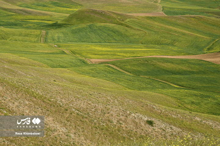 عطر نان و زندگی روستایی در دامان سبز دشت مغان
