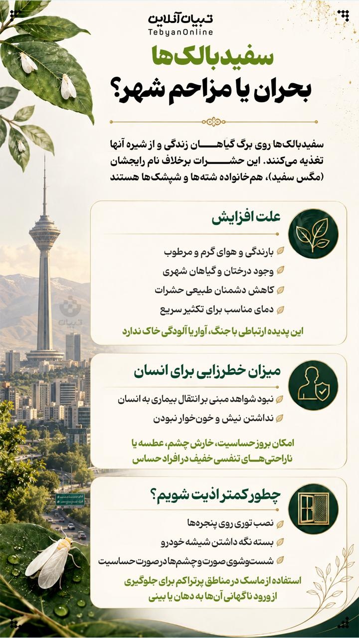 سفیدبالک‌، بحران شهر یا مزاحم؟