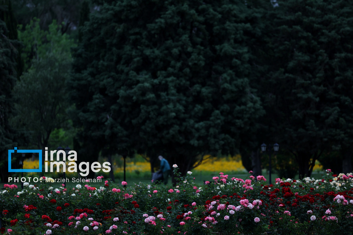 باغ گیاه‌شناسی ملی ایران