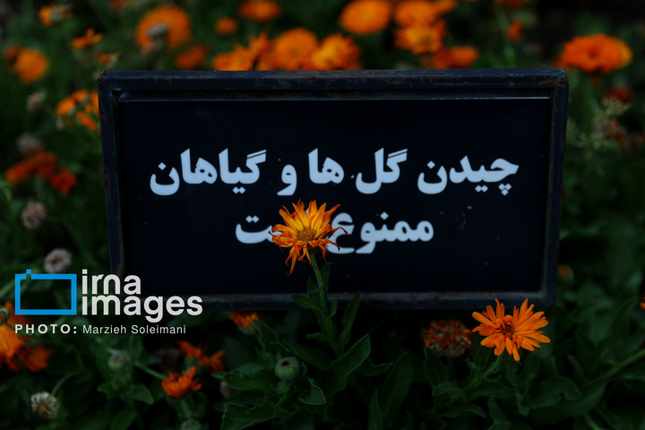باغ گیاه‌شناسی ملی ایران