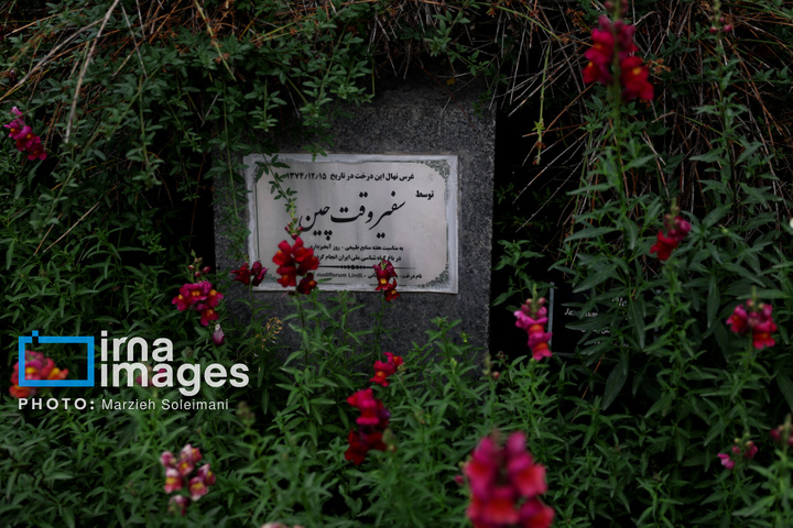 باغ گیاه‌شناسی ملی ایران