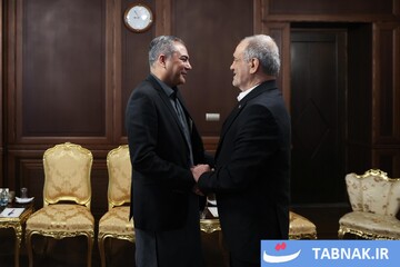 دیدار وزیر کشور پاکستان با رئیس‌جمهور