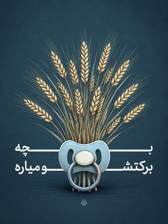 بچه برکتشو میاره