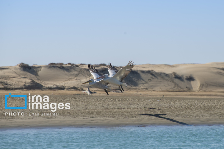 سیستان و بلوچستان سرزمین باد و دریا