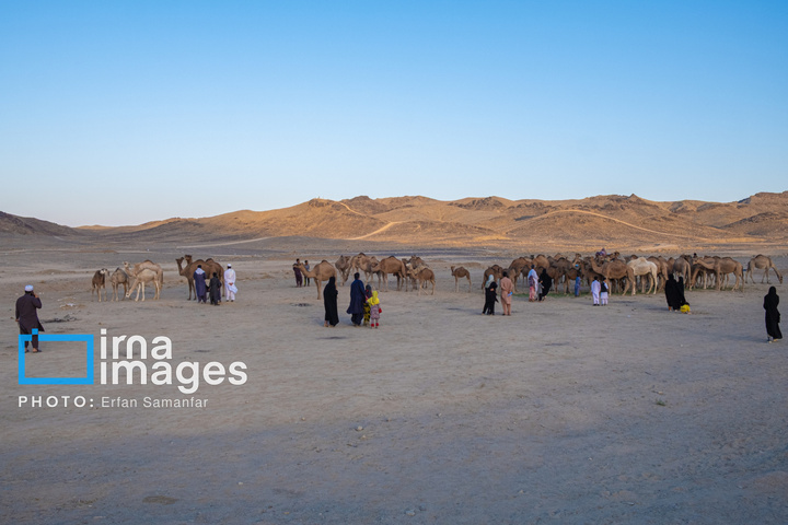 سیستان و بلوچستان سرزمین باد و دریا