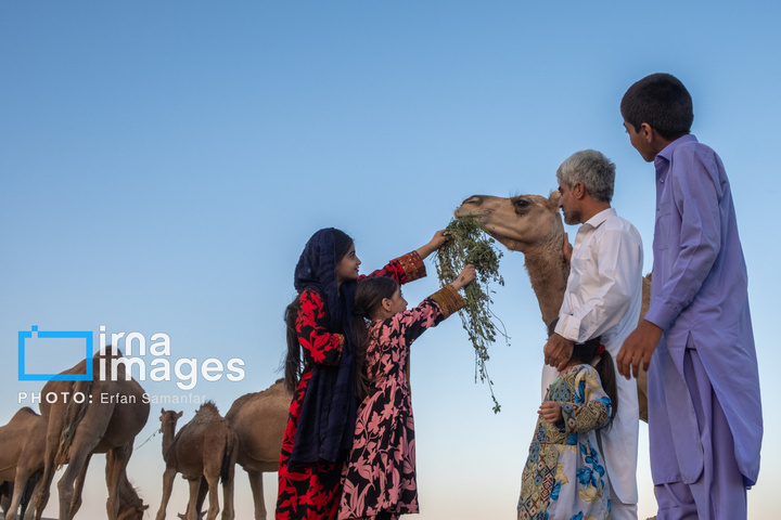 سیستان و بلوچستان سرزمین باد و دریا