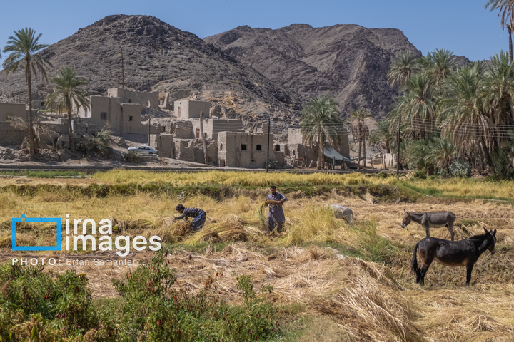 سیستان و بلوچستان سرزمین باد و دریا