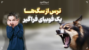 ترس از سگ‌ها، یک فوبیای فراگیر