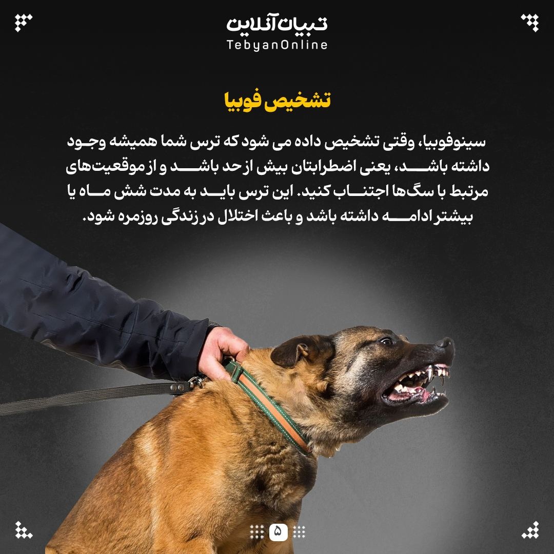 ترس از سگها، یک فوبیای فراگیر