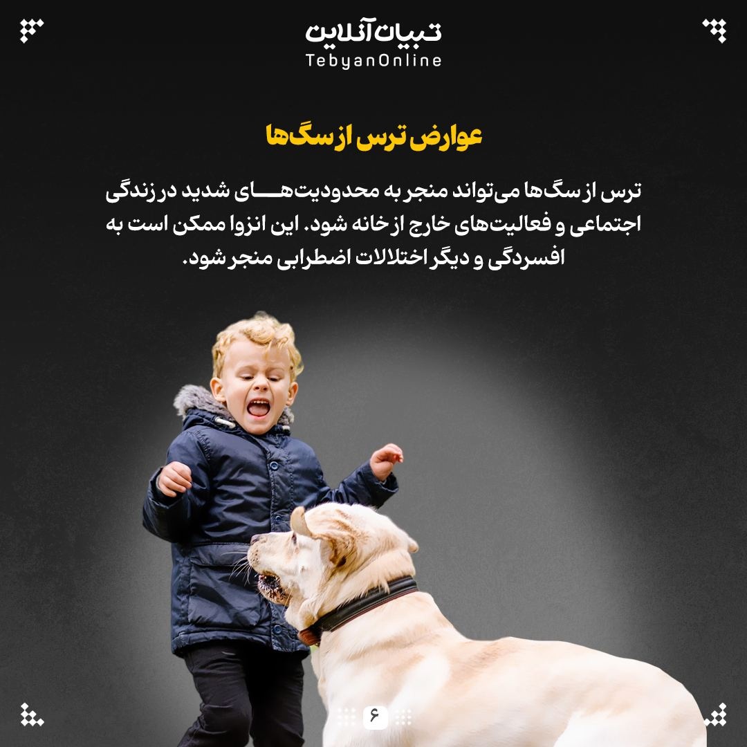 ترس از سگ‌ها، یک فوبیای فراگیر