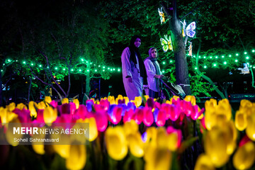 جشن نور تهران