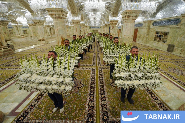 تجلی بهار در آستانه عید ولایت؛ ضریح مطهر علوی گل‌باران شد