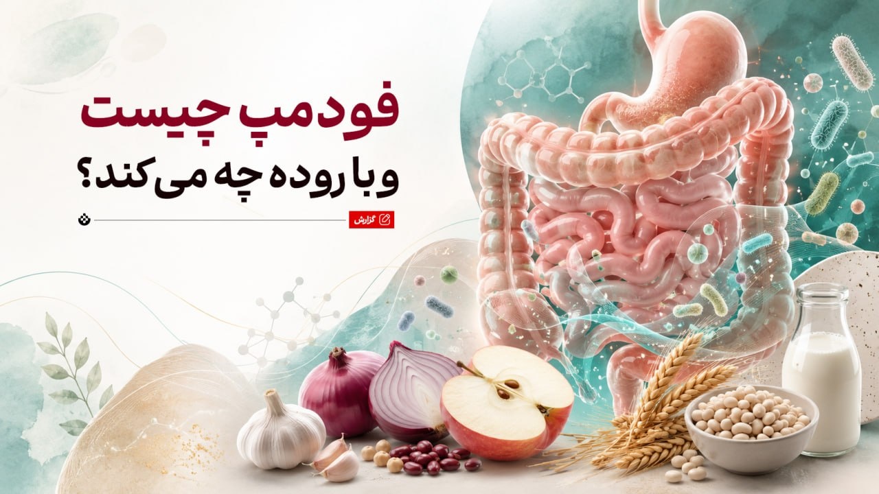 فودمپ (FODMAP) چیست و با روده چه می‌کند؟