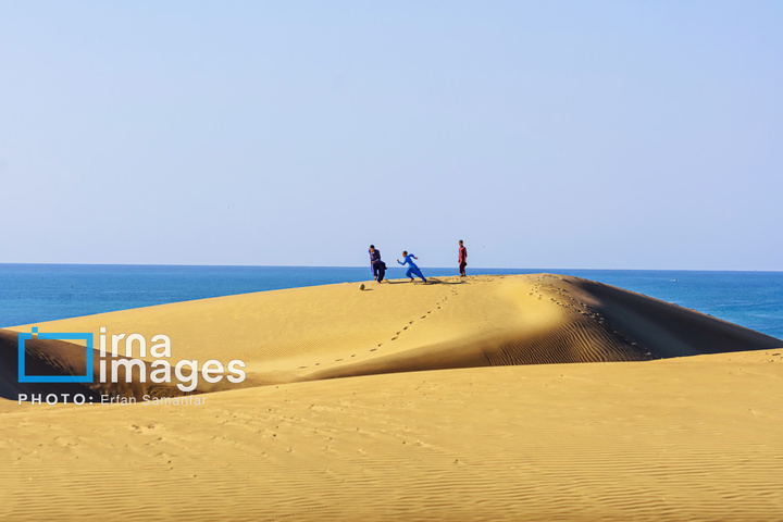 یک توپ، هزار رویا