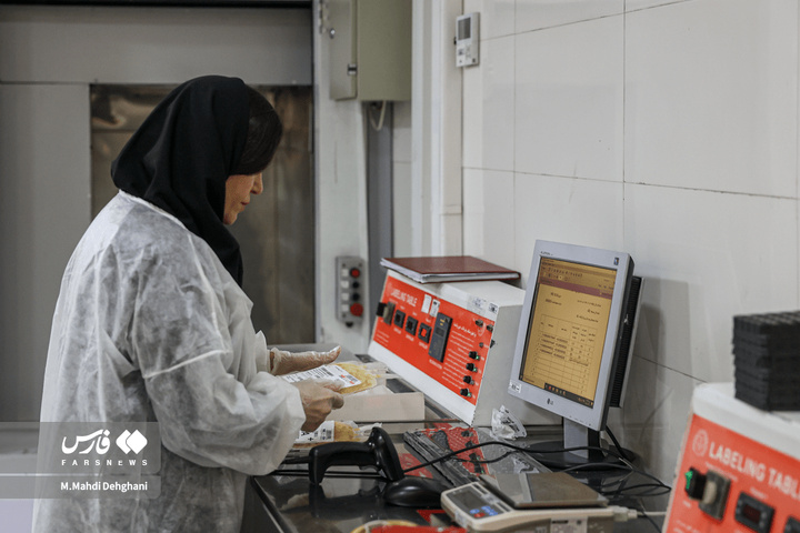 روز جهانی انتقال خون