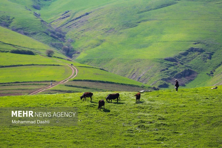 نگین سبز و بهشت گمشده در نوار مرزی اردبیل