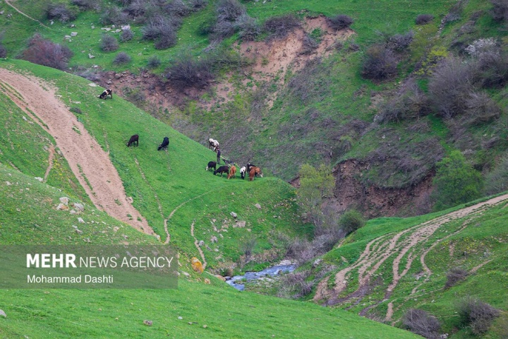 نگین سبز و بهشت گمشده در نوار مرزی اردبیل
