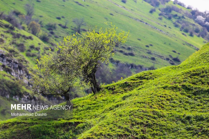 نگین سبز و بهشت گمشده در نوار مرزی اردبیل