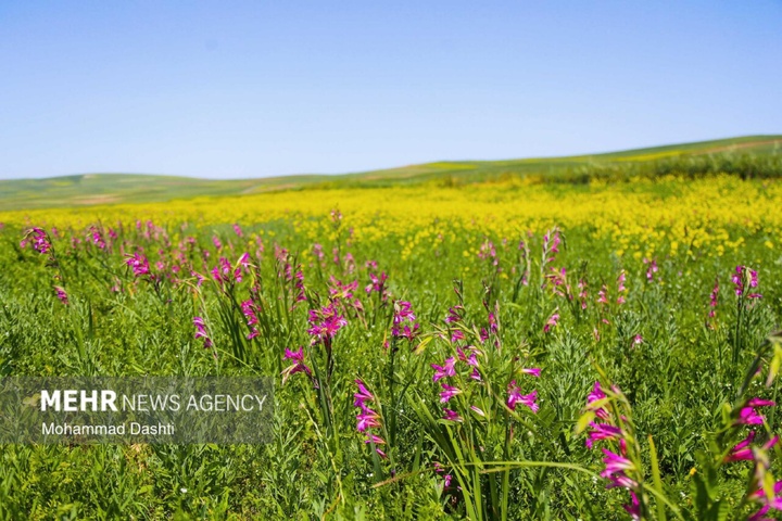 نگین سبز و بهشت گمشده در نوار مرزی اردبیل