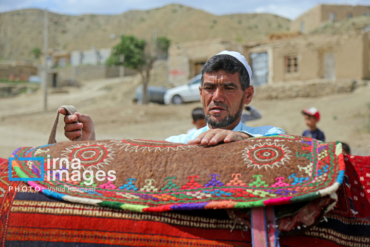 «حجی محمد آرام» حافظ میراث اسب ترکمن