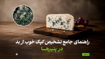 راهنمای جامع تشخیص کپک خوب از بد در پنیرها