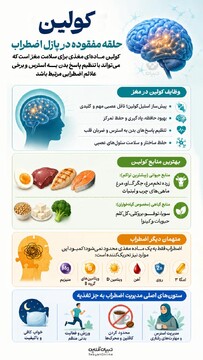 کولین حلقه مفقوده در پازل اضطراب