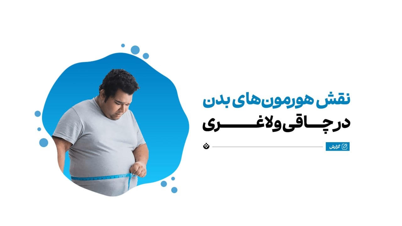 نقش هورمونها در چاقی و لاغری نقش هورمونها در چاقی و لاغری