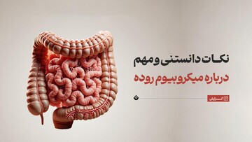 ۸ نکته درباره میکروبیوم روده و حفظ سلامت آن