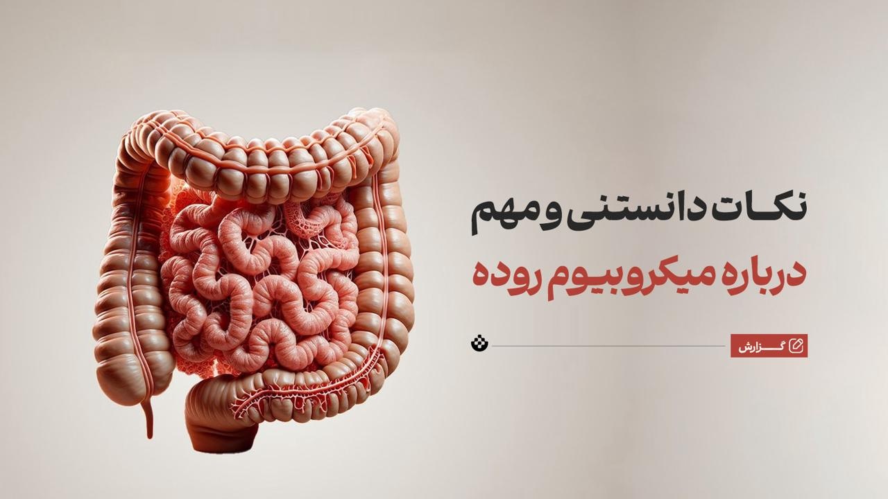 ۸ نکته درباره میکروبیوم روده و حفظ سلامت آن