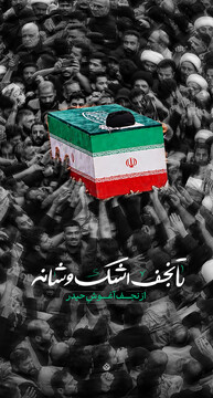 تا نجف اشک و شانه، از نجف آغوشِ حیدر