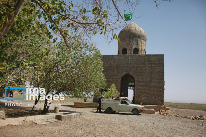 فصل شیرین برداشت