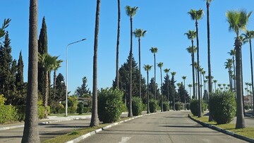 همه چیز درباره دریاکنار؛ مقصدی که هر ساله مسافران زیادی را به خود جذب میکند