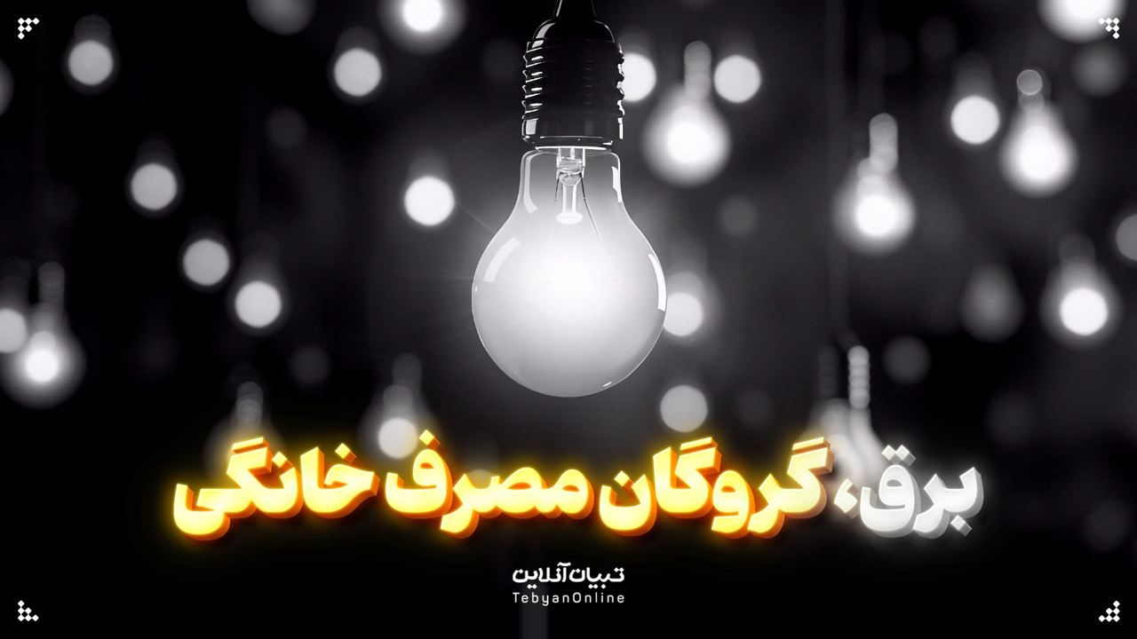 برق، گروگان مصرف خانگی