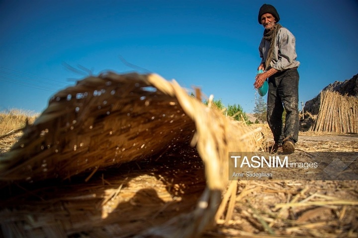 بازماندگان هنر کهن بوریابافی- زرقان فارس