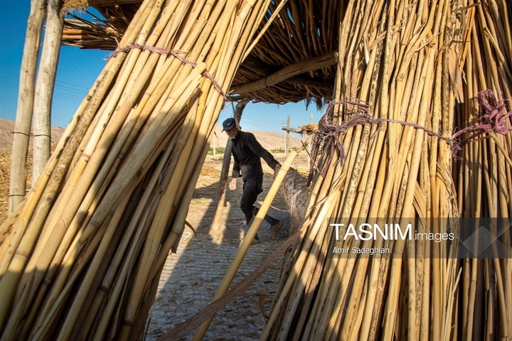 بازماندگان هنر کهن بوریابافی- زرقان فارس